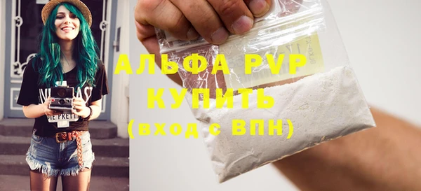 шишки Белоозёрский