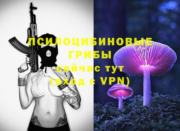 амф Белокуриха
