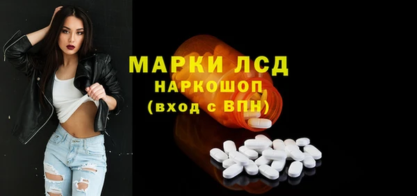 шишки Белоозёрский