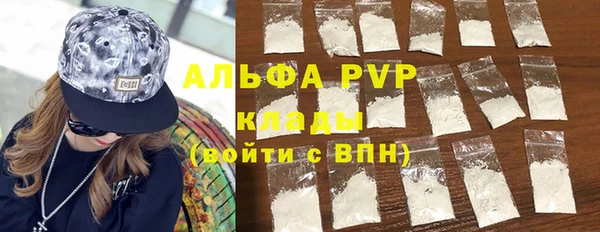 шишки Белоозёрский