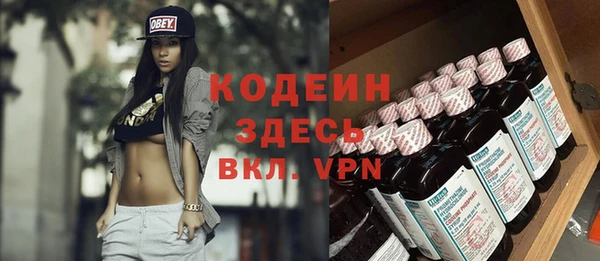 шишки Белоозёрский