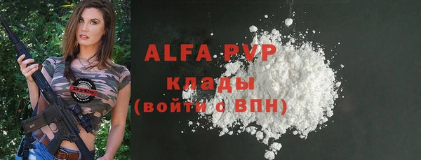 шишки Белоозёрский