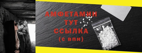 шишки Белоозёрский