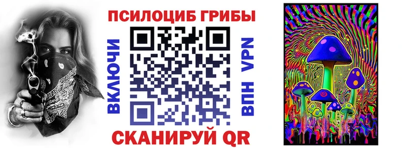 Галлюциногенные грибы Psilocybe Гусев